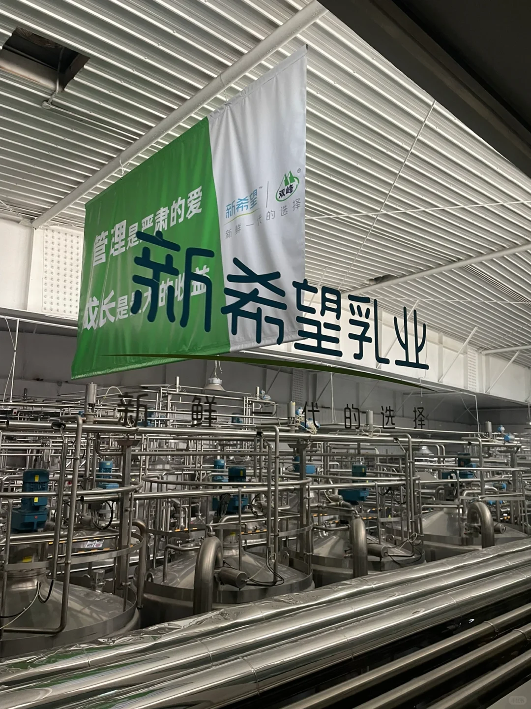 参观新希望牛奶厂