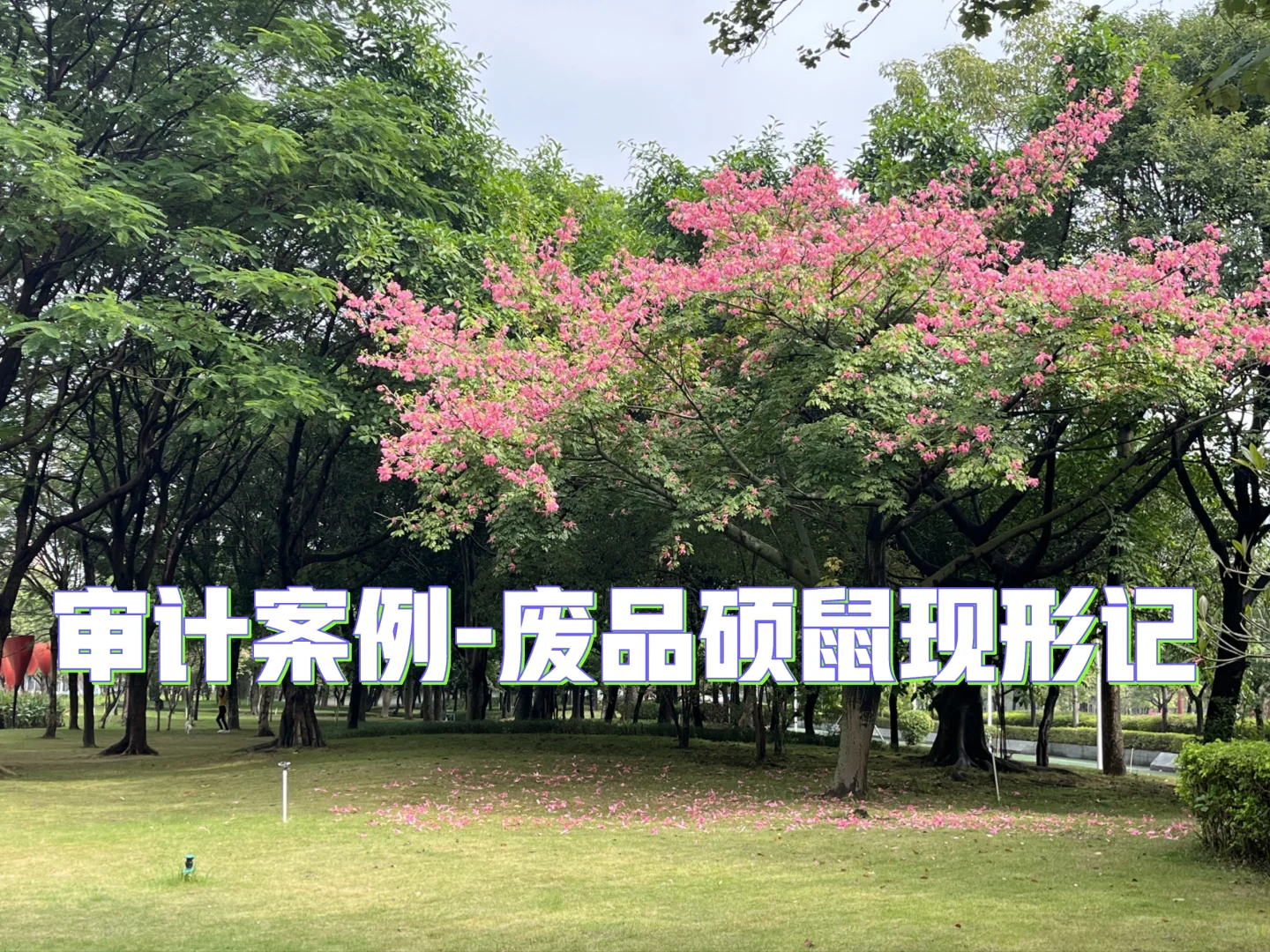 废品硕鼠现形记（一）