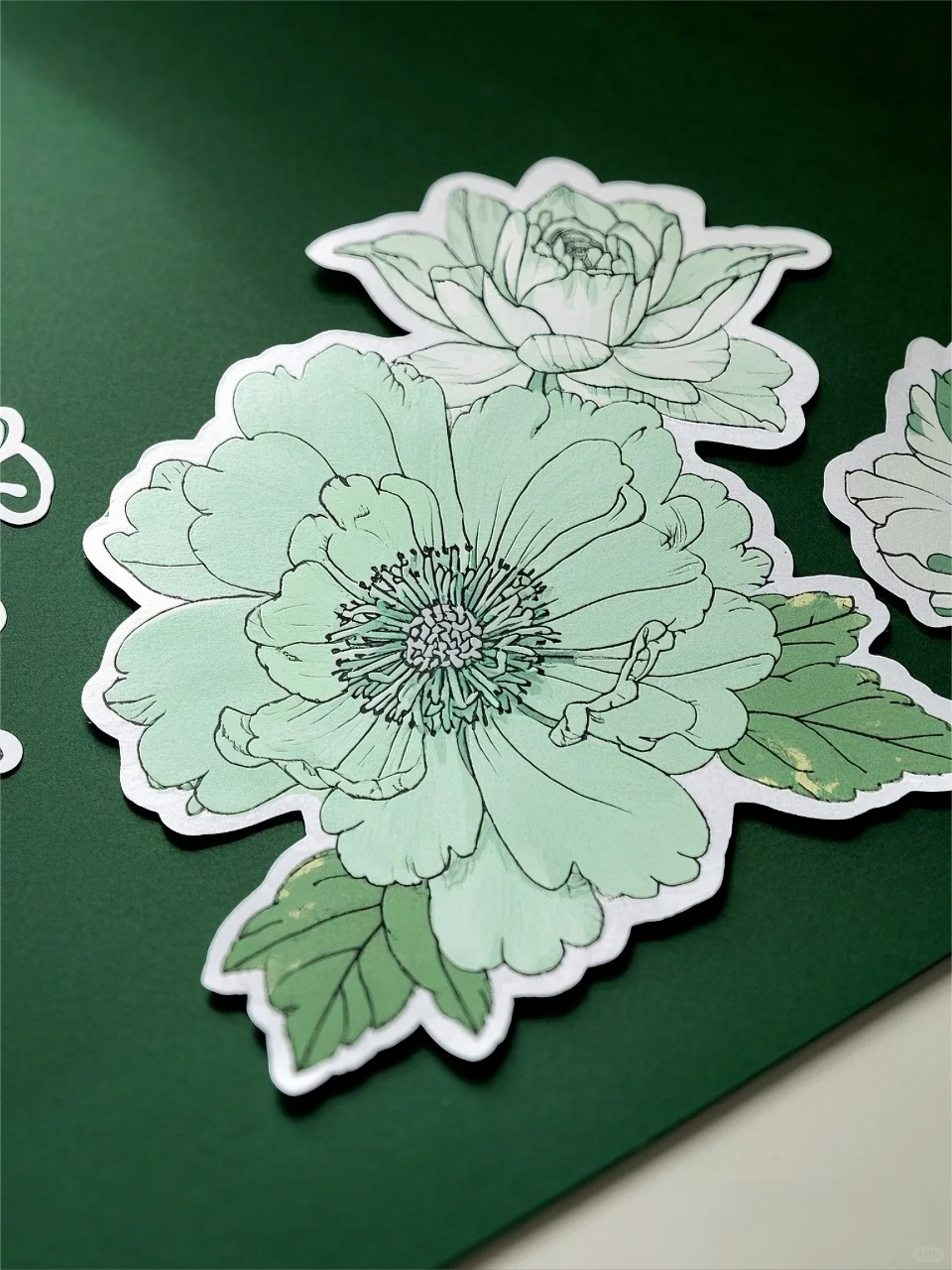 春天到了，让纸间心跳，与你同频✨