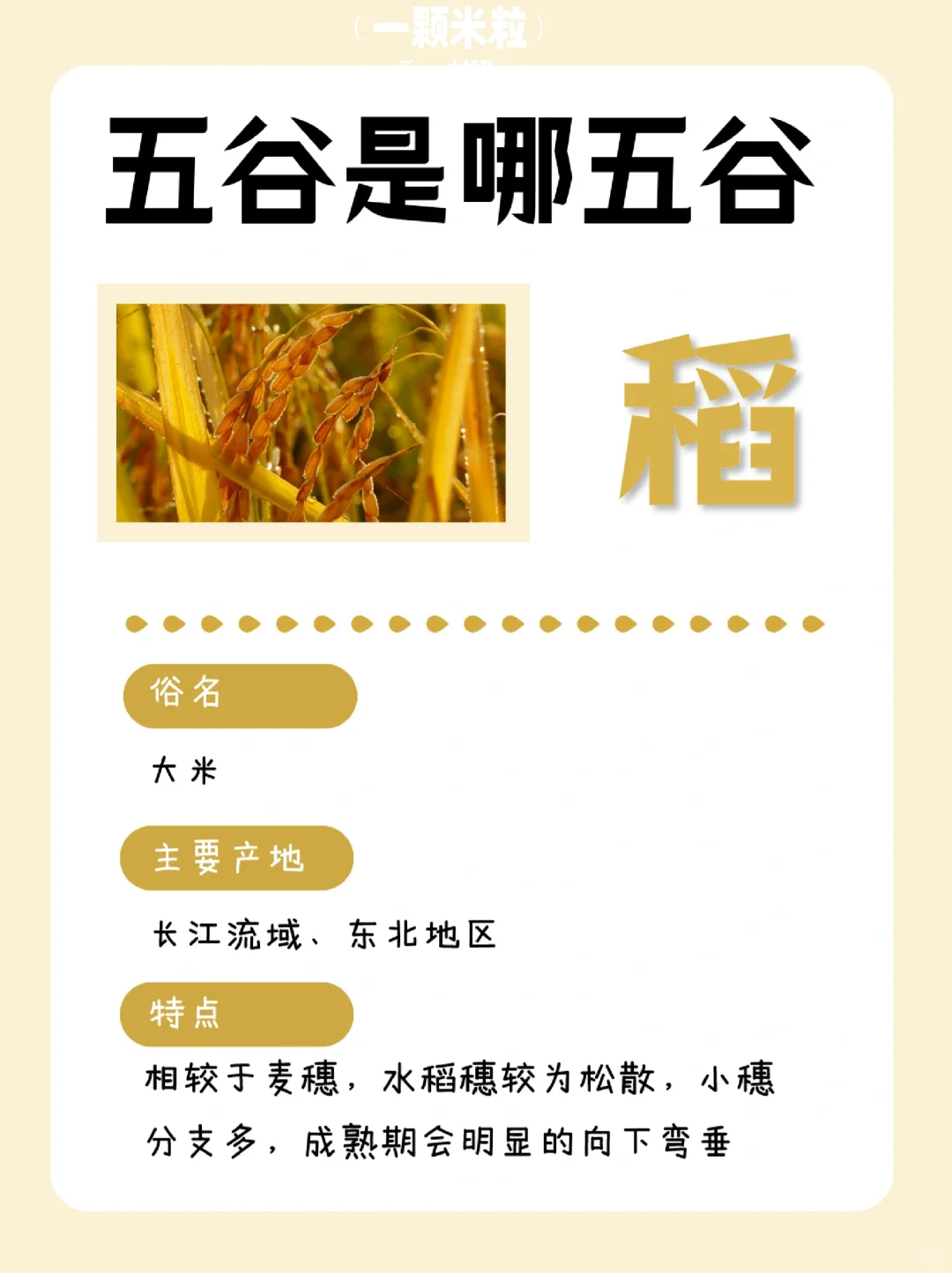 养人的五谷是哪五谷？