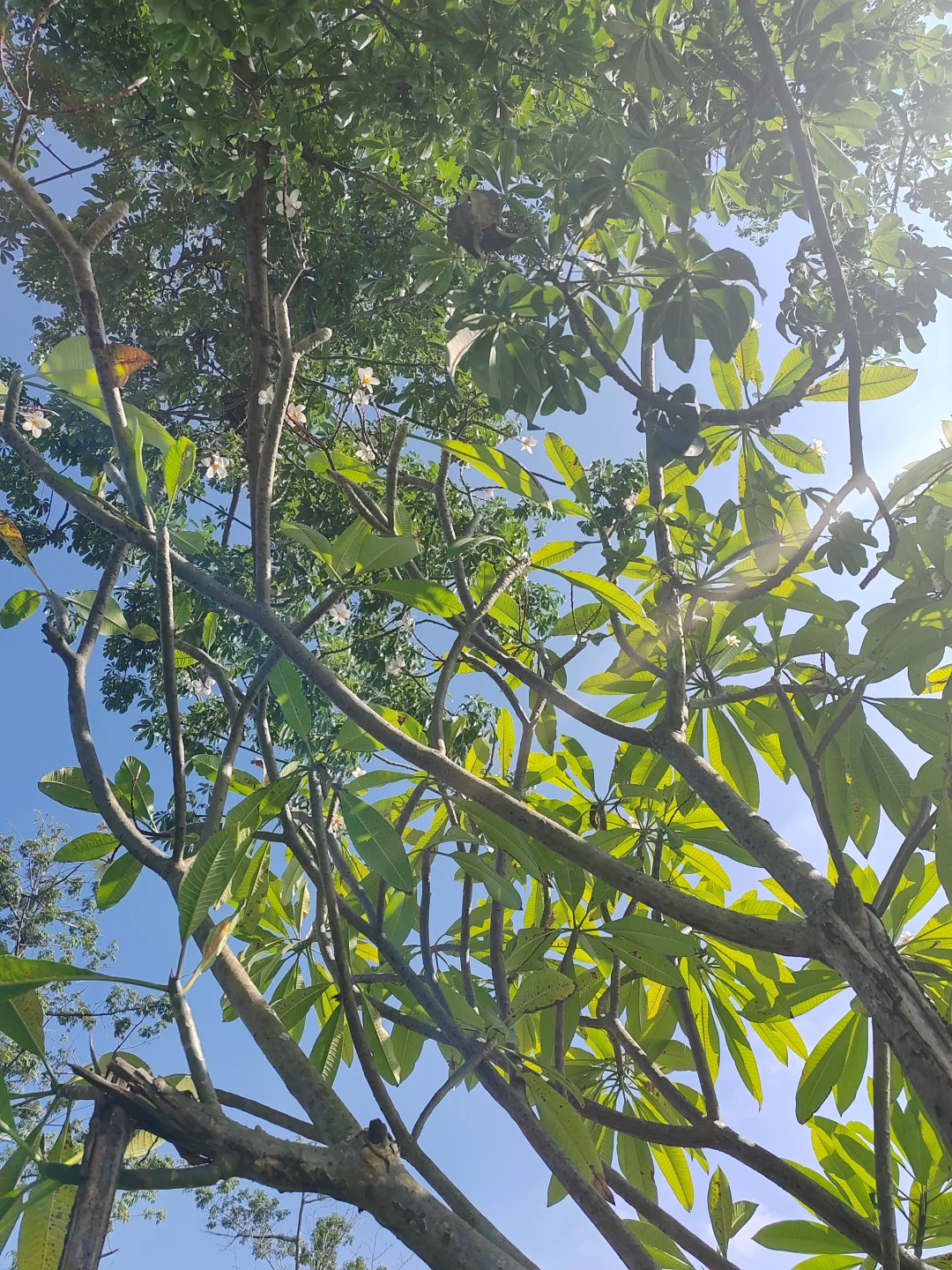 “听袁爷爷的话,好好吃饭,好好长大”