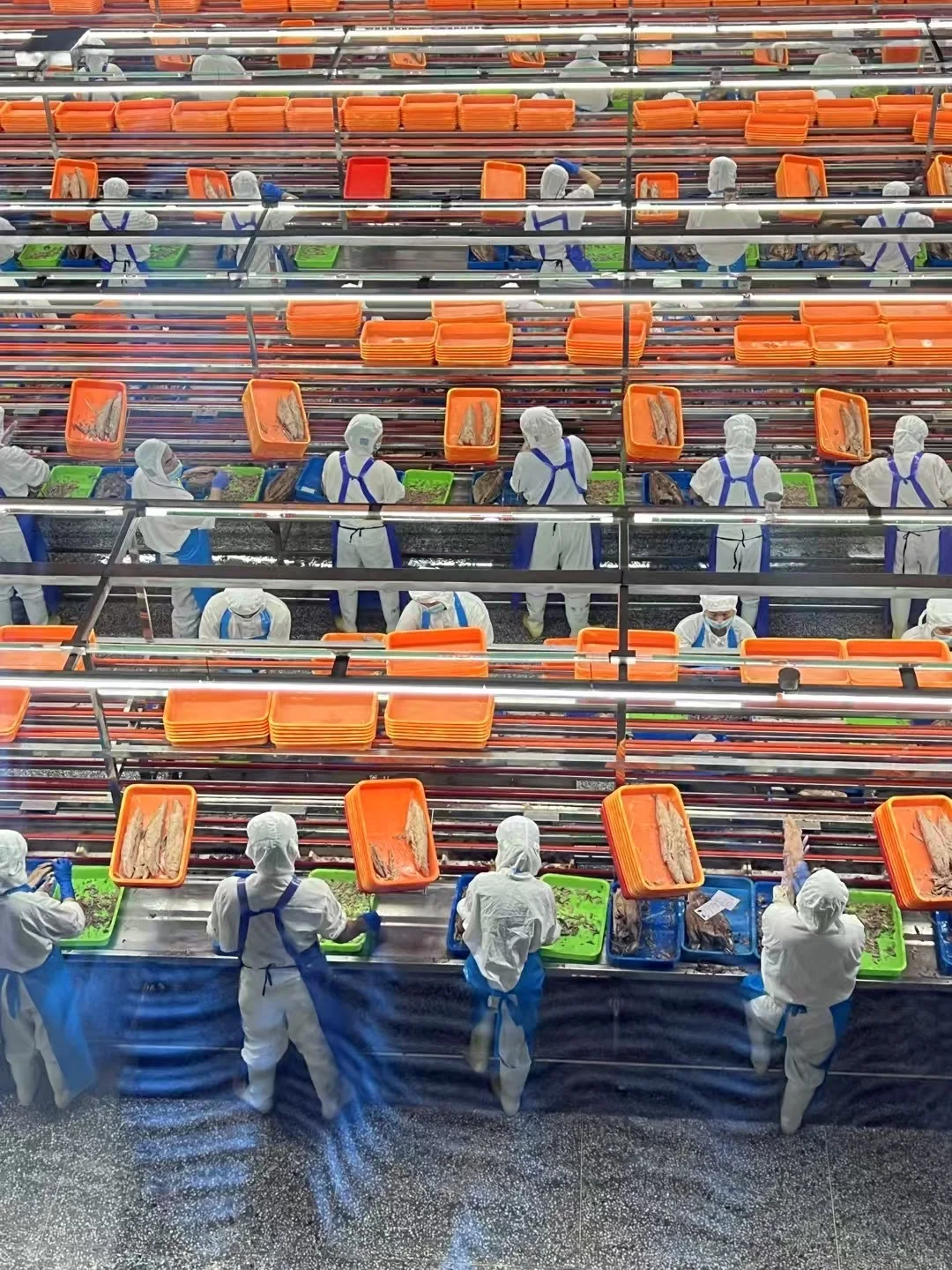 溯源山姆金枪鱼生产工厂了！