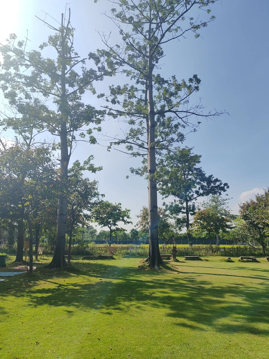 “听袁爷爷的话,好好吃饭,好好长大”