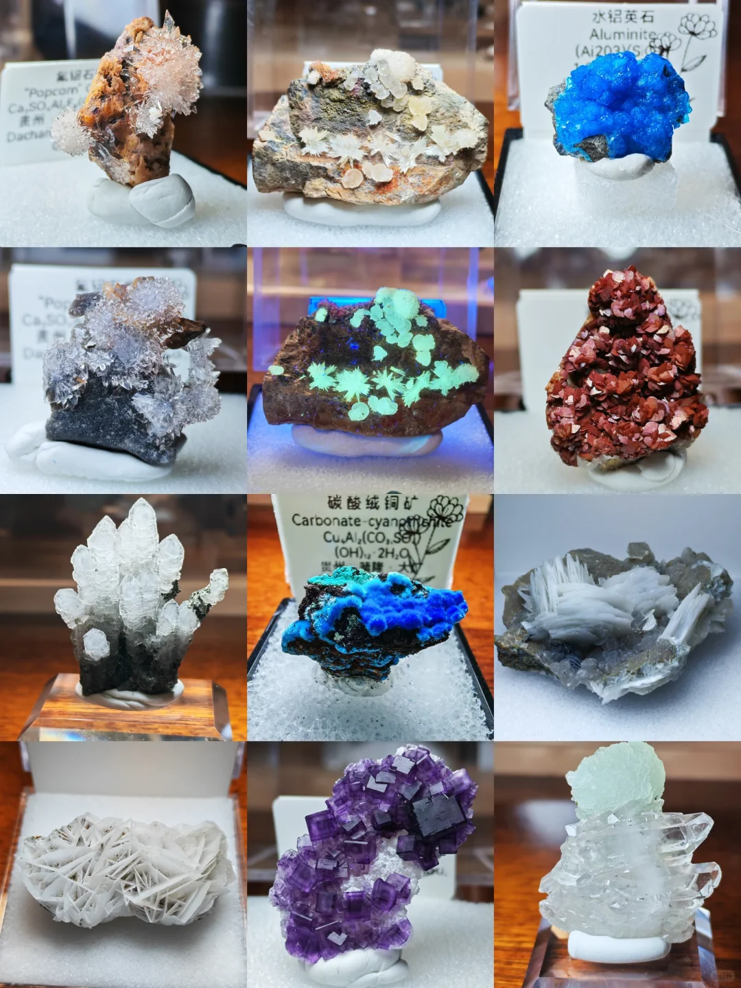 2025年矿标收藏分享⑥