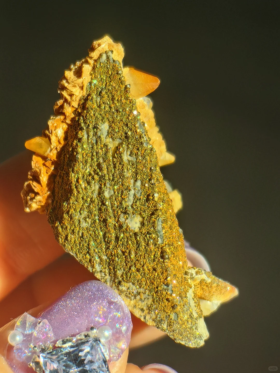 只需三个字，保你避坑