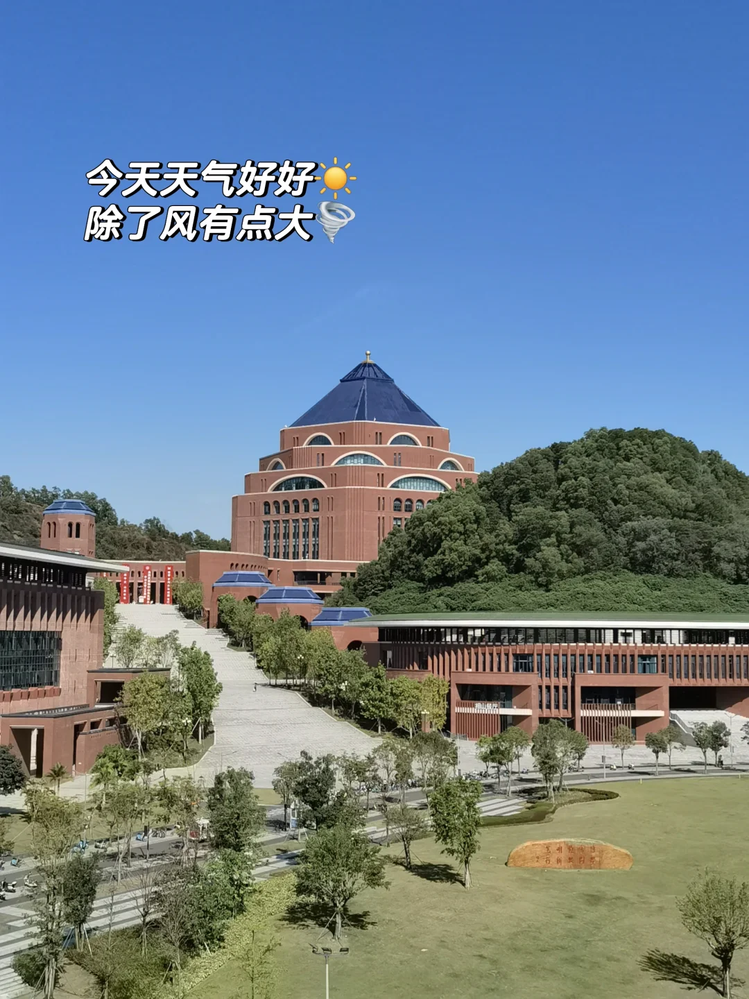 仪器分析实验里数字就是心跳?