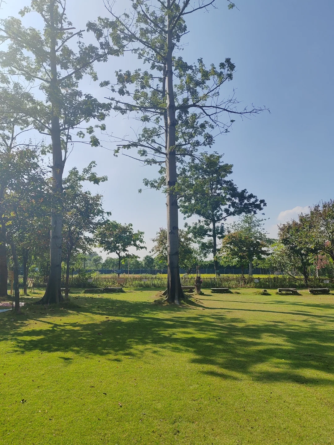 “听袁爷爷的话,好好吃饭,好好长大”