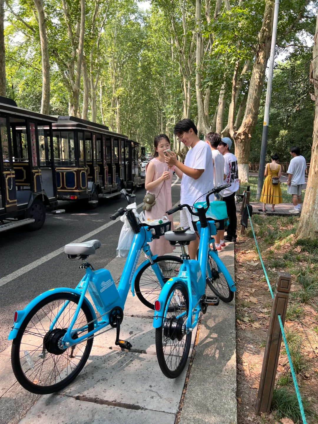 10公里亲测！中山陵的氢能自行车太方便了