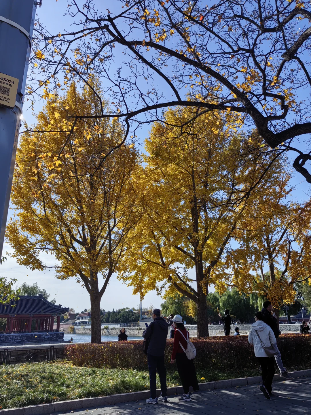 城市通勤利器，伯希和冲锋衣的体面守护