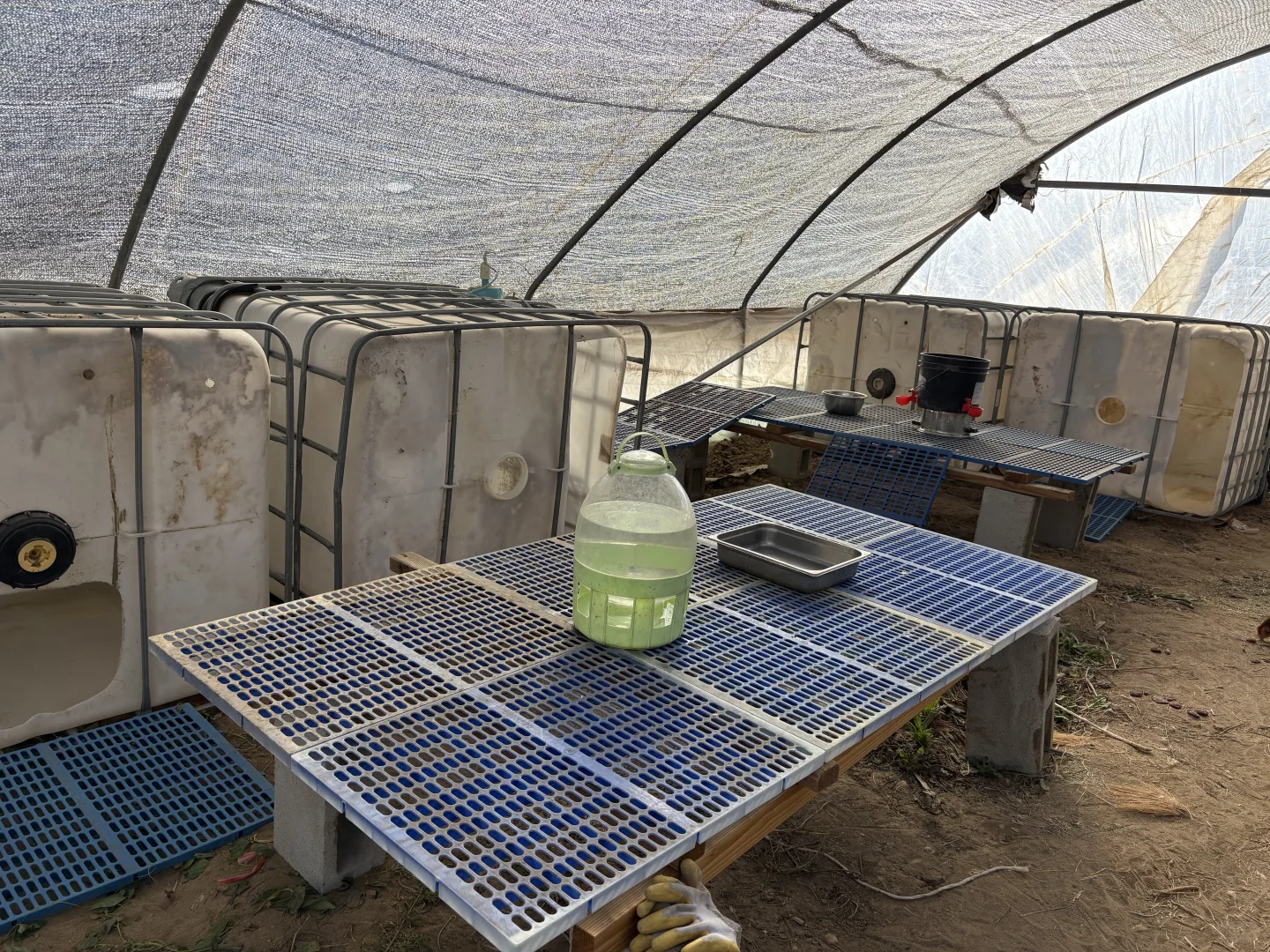 迷你世界. 耀眼“白宫”！