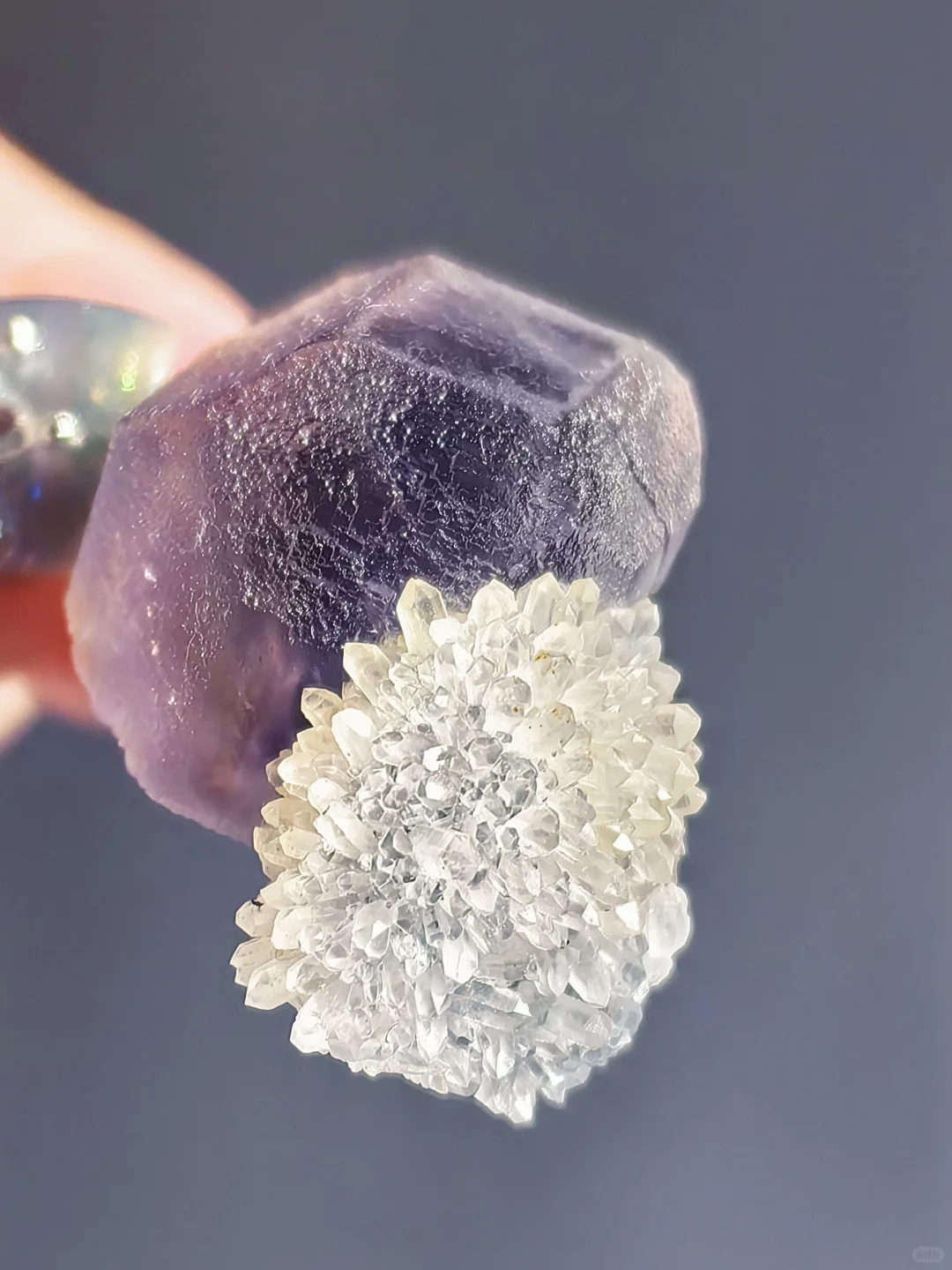 只需三个字，保你避坑