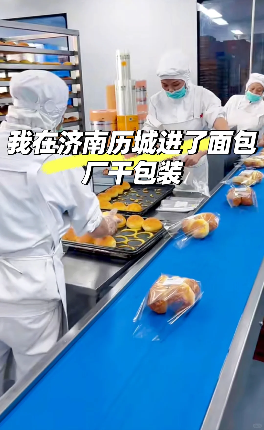 我进了济南历城面包厂干包装