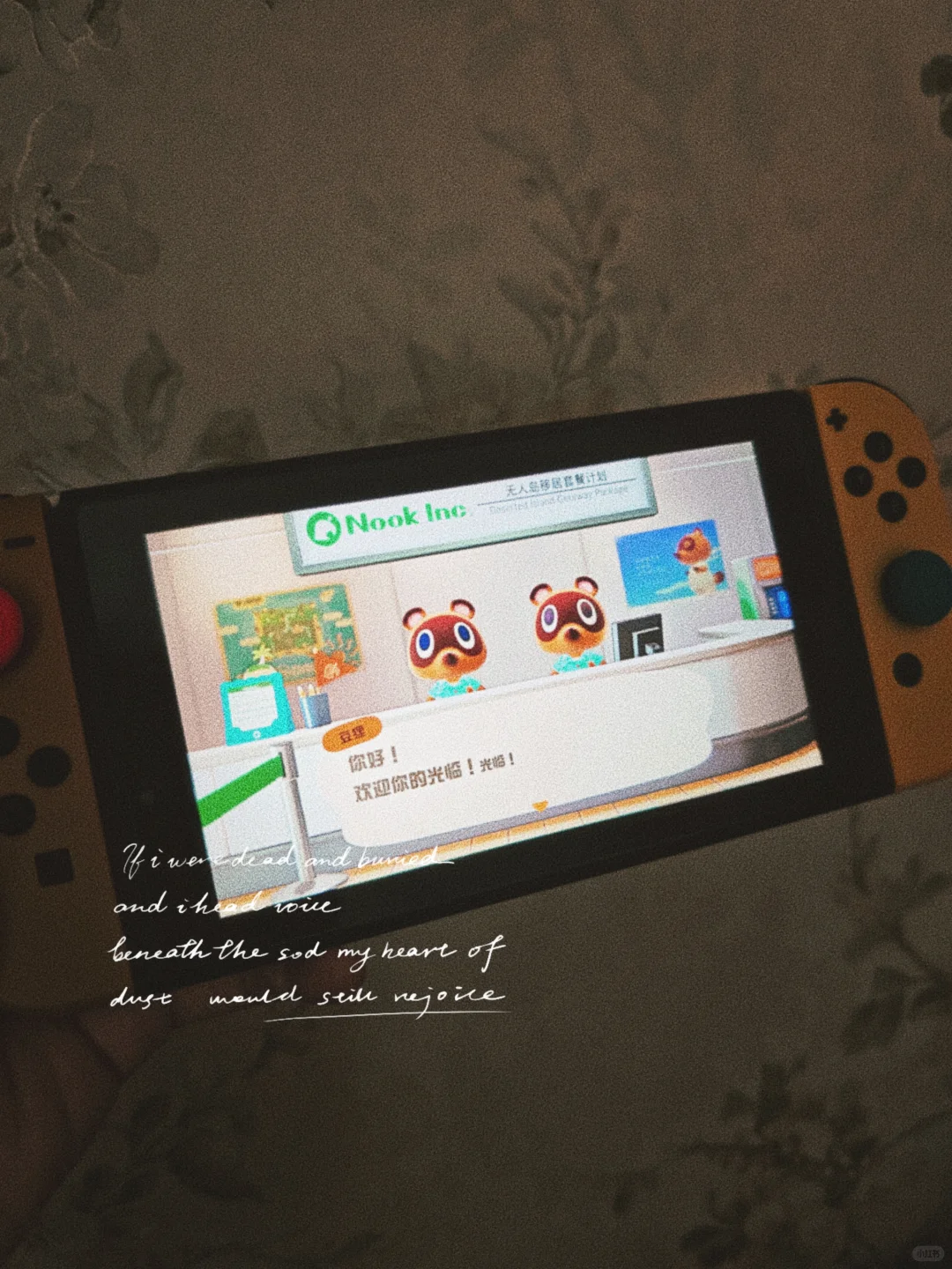 动森第二天这岛布局还行吗？