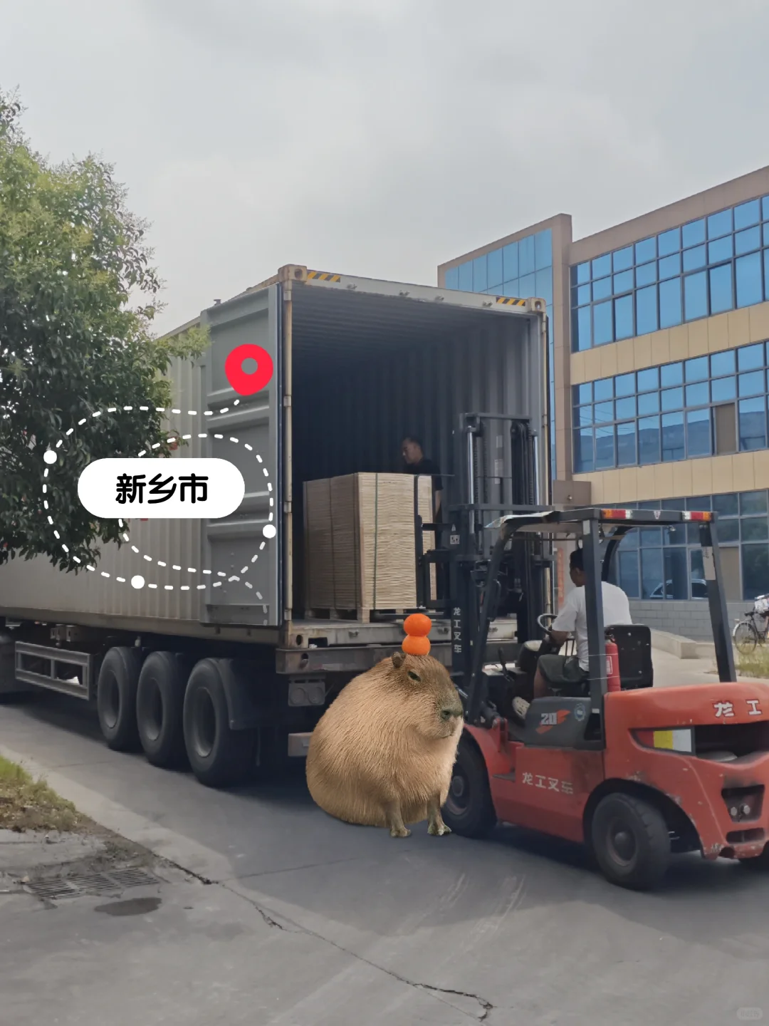 不干胶纸40大柜外贸出口新乡源头工厂