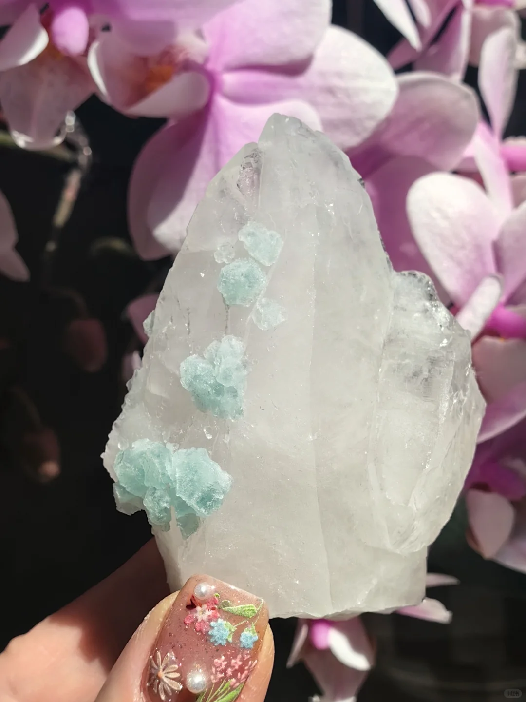 只需三个字，保你避坑