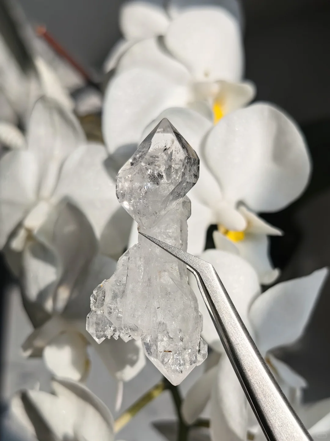 只需三个字，保你避坑