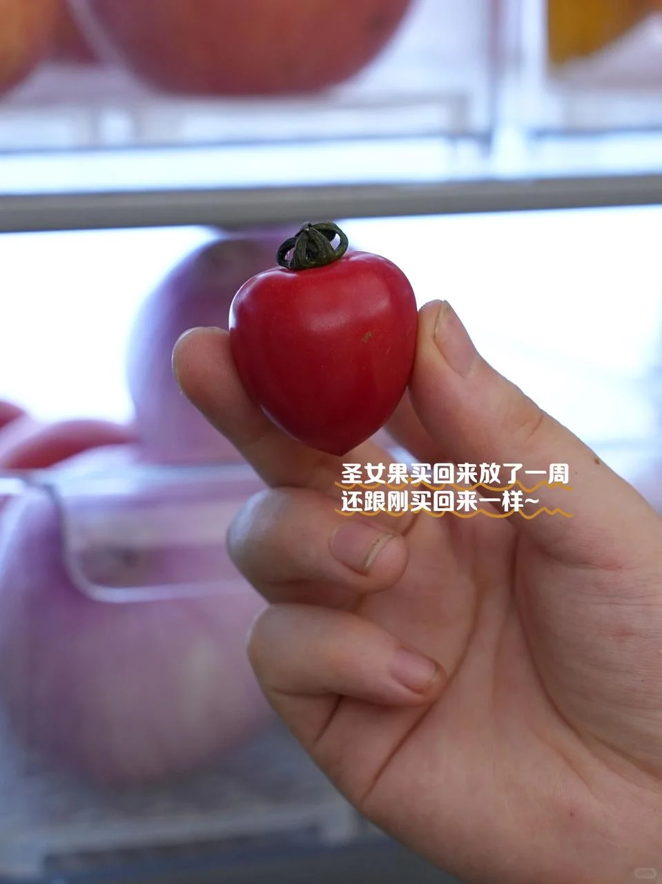 续命好物！买对冰箱真的太香了