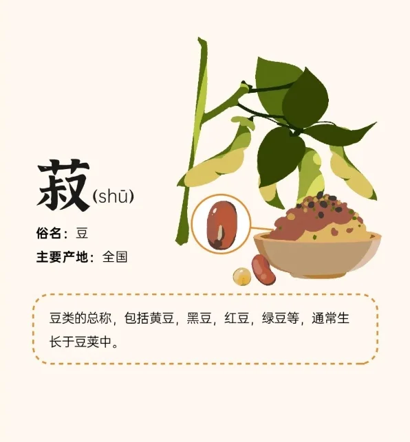 “五谷丰登”究竟指的是哪五种？