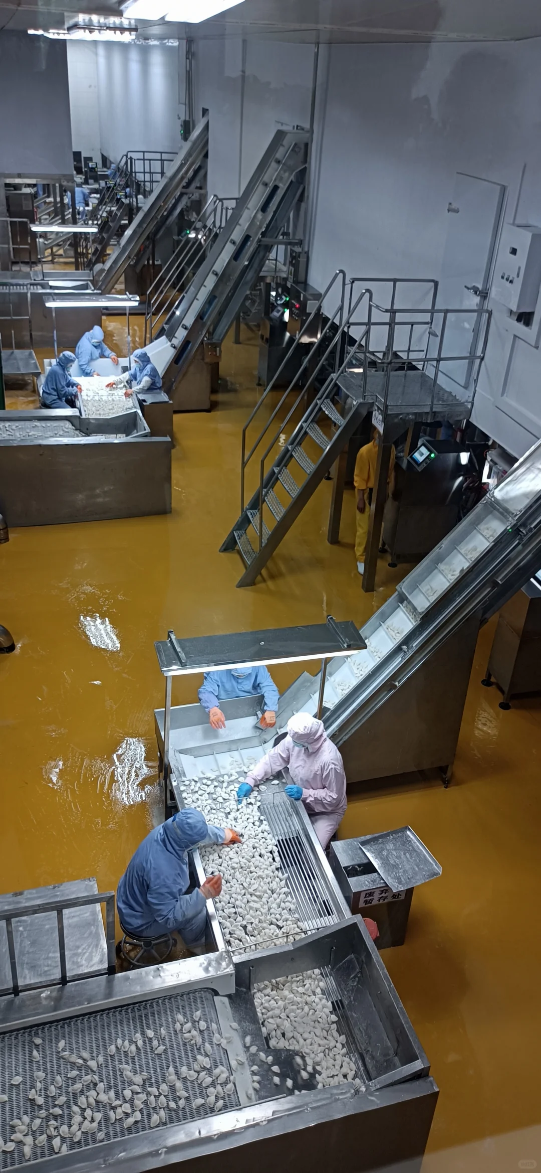 饺子汤圆能自动化生产，粽子需要人工包