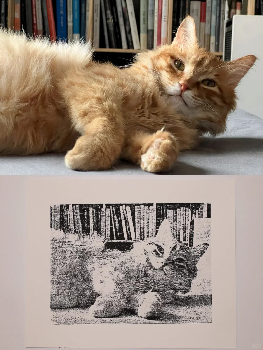 手机照片也可以做木版画印刷?!