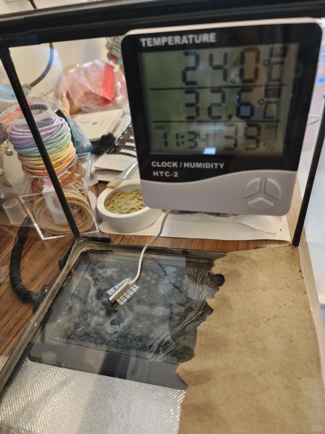 守宫饲养缸温度计选择