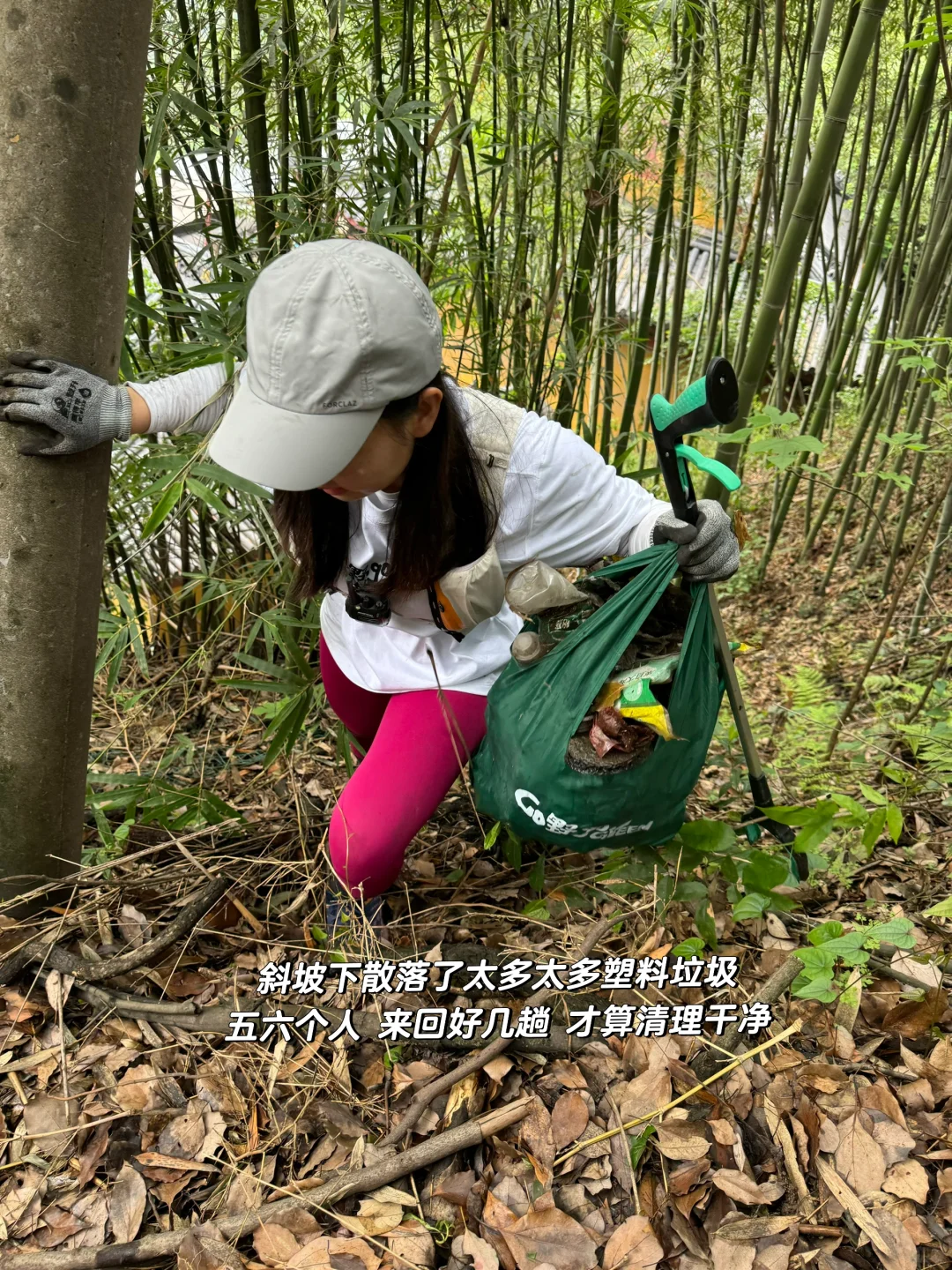 如果这个周末 你也进山