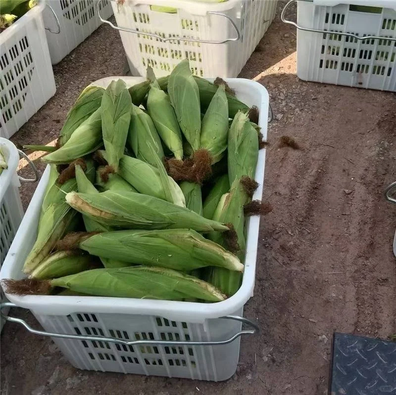 食品周转框-600*400*180矮筐