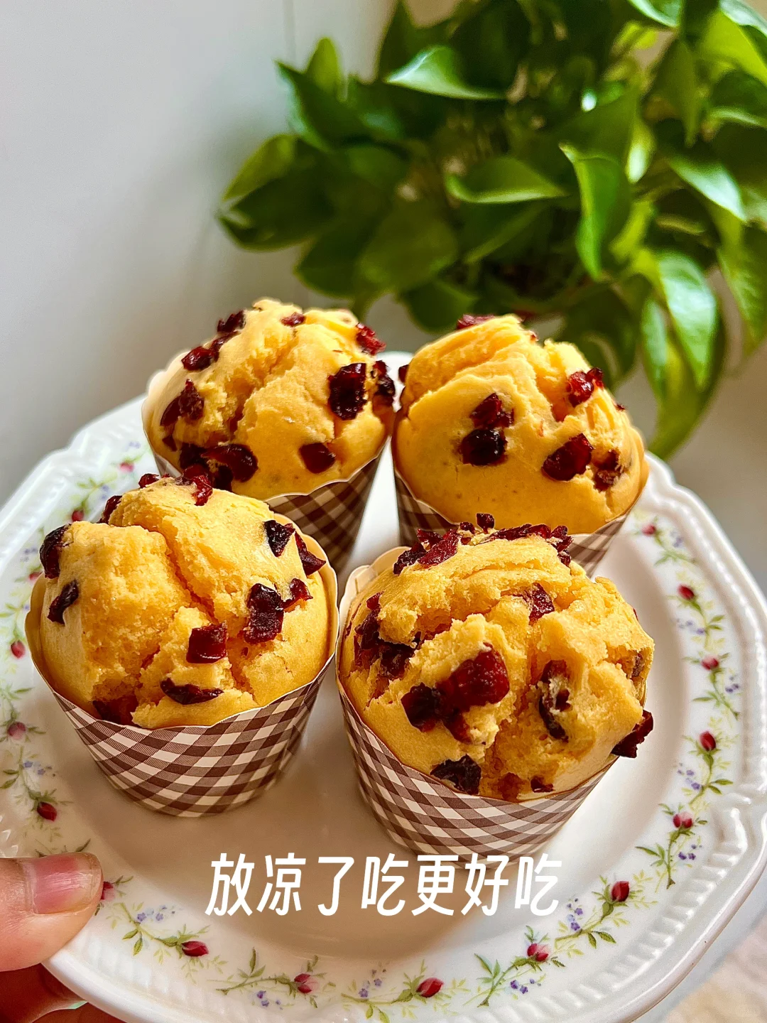 手残党也能做的蔓越莓麦芬?