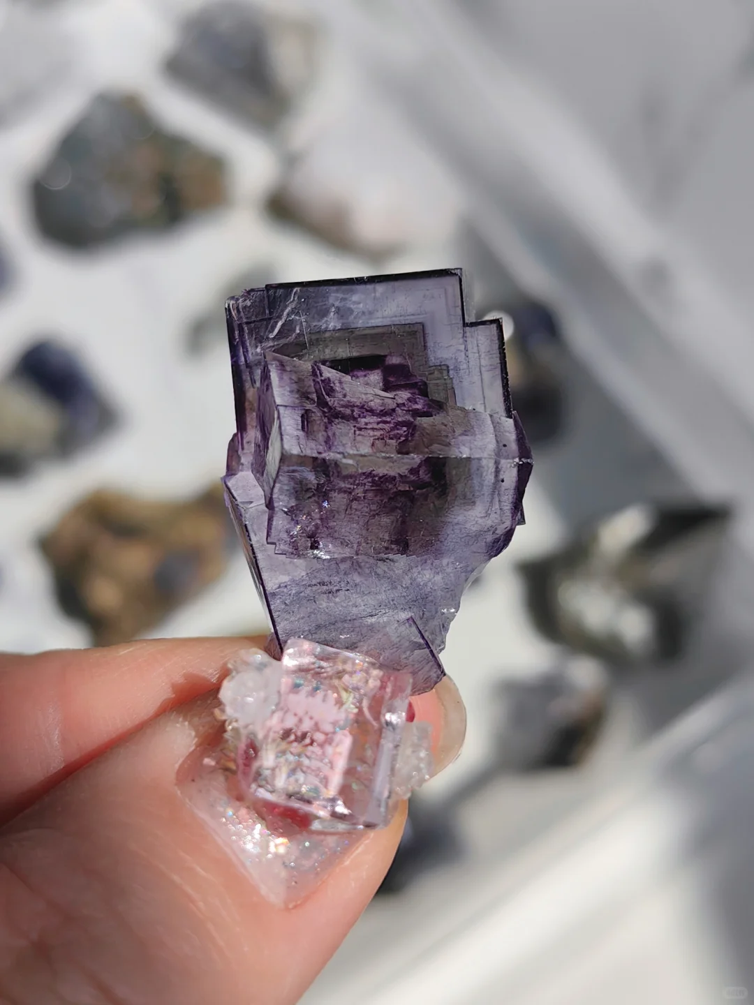 只需三个字，保你避坑