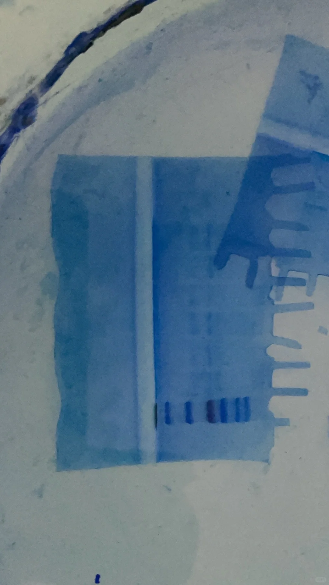 求助 凝胶电泳跑成这样能用吗？