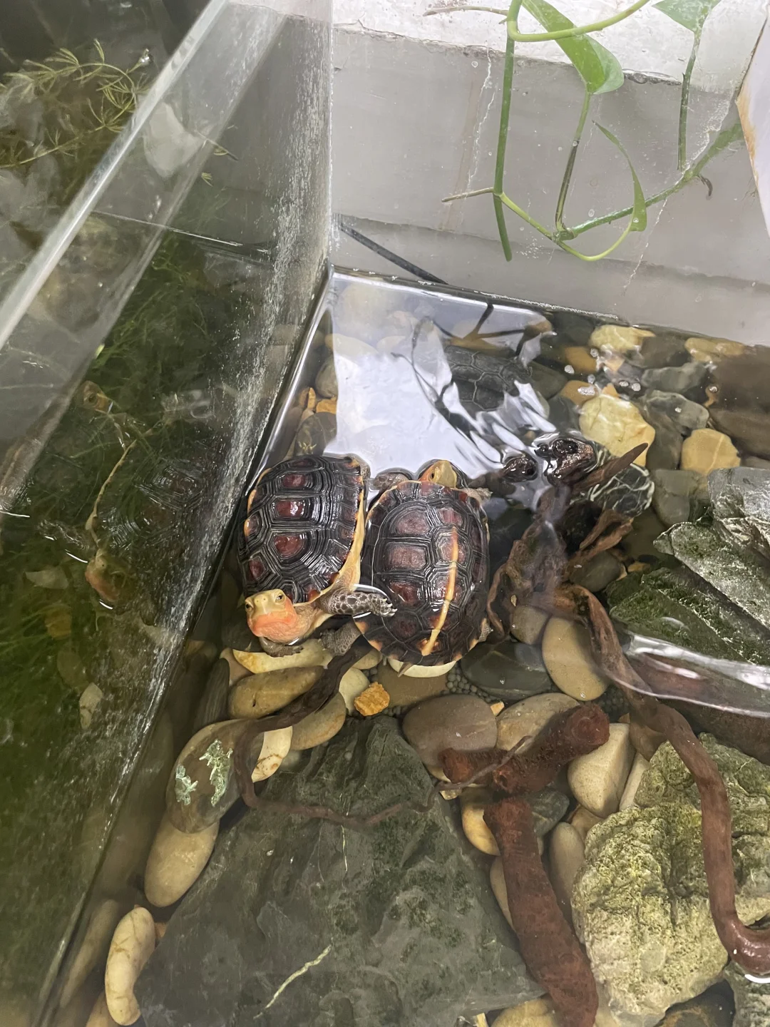 重返校园｜曹方工作室寻宝藏