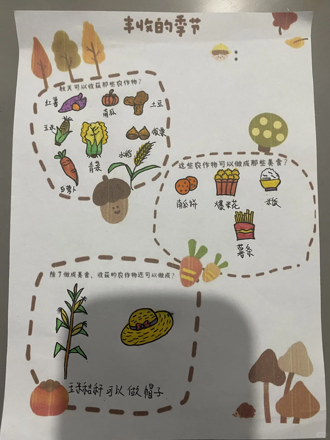 丰收的季节 秋天可以收获哪些农作物？