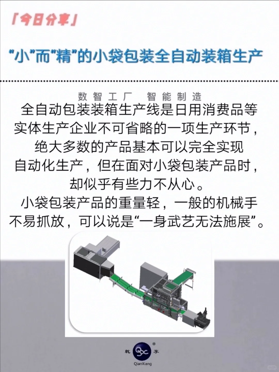 “小”而“精”的小袋包装全自动装箱生产线