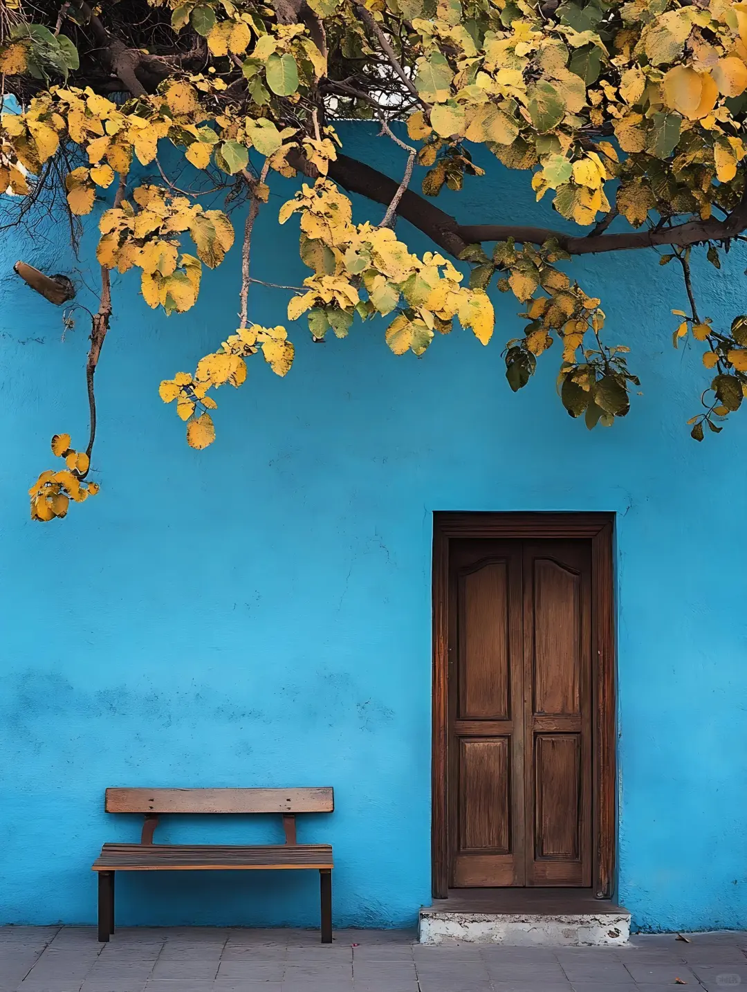 审美积累｜当色彩在光影里相遇