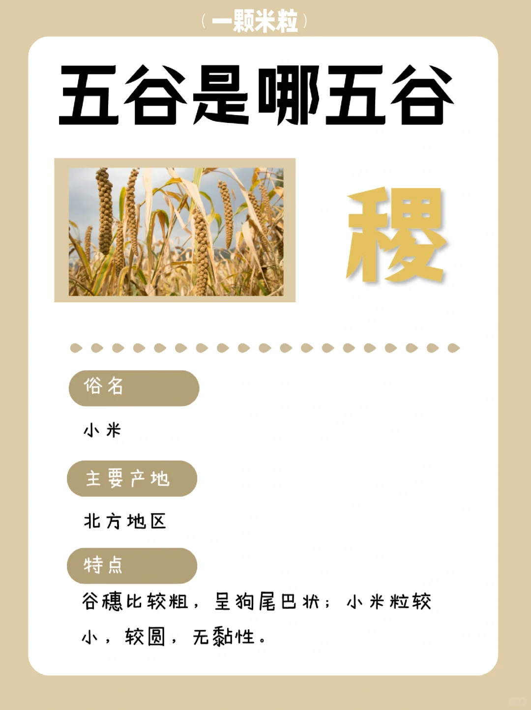 养人的五谷是哪五谷？