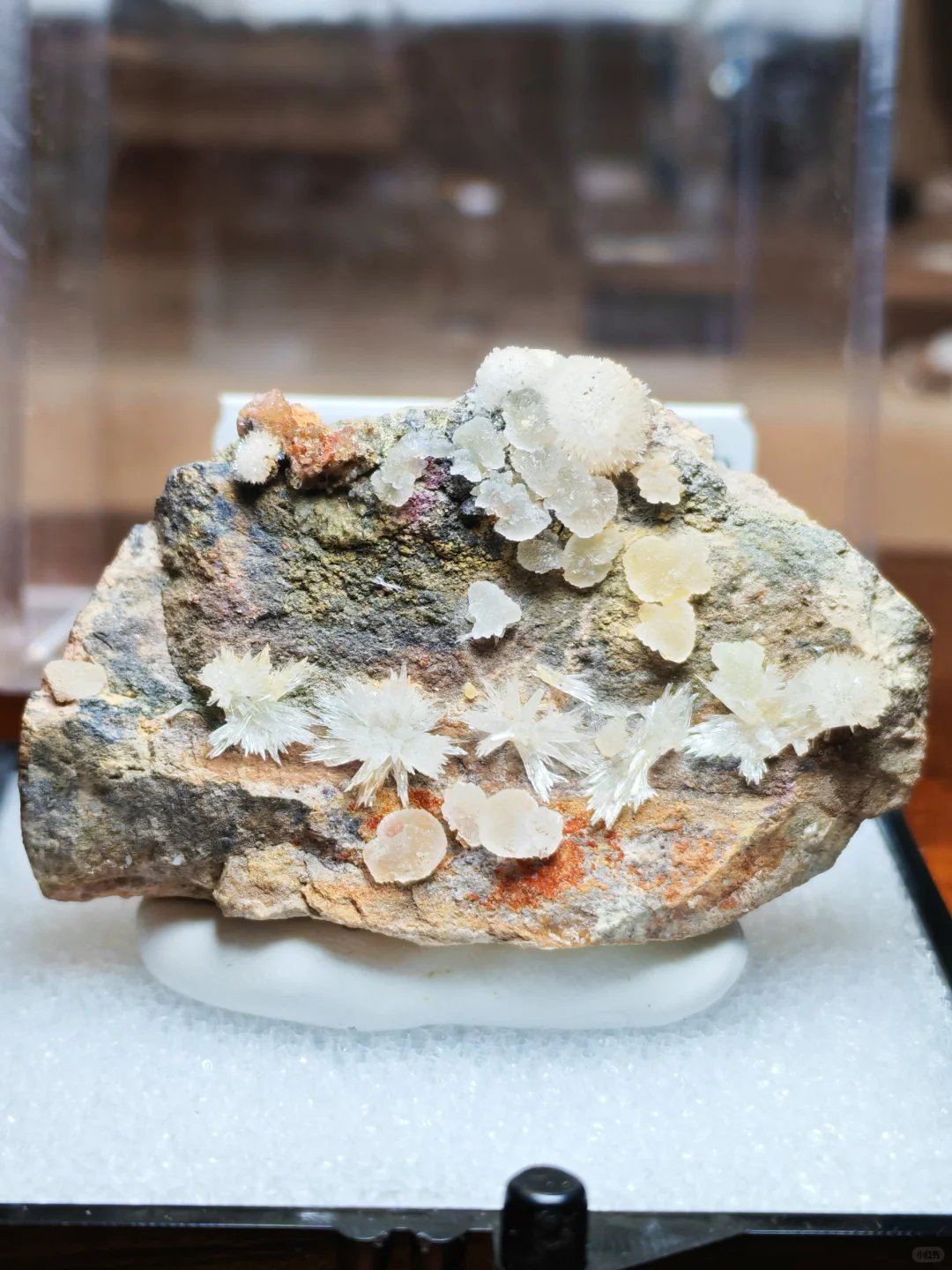 2025年矿标收藏分享⑥