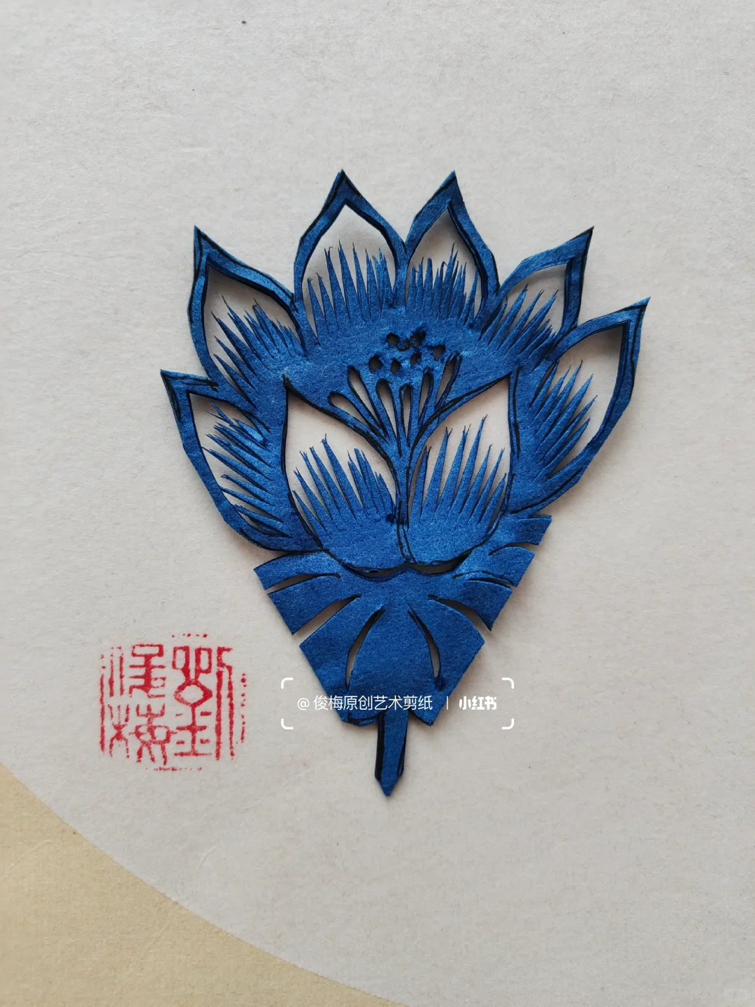 每日一剪｜夏之荷