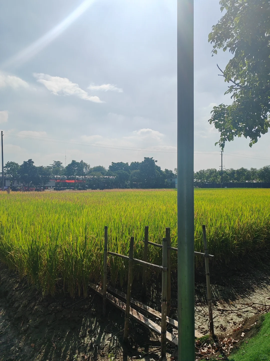 “听袁爷爷的话,好好吃饭,好好长大”