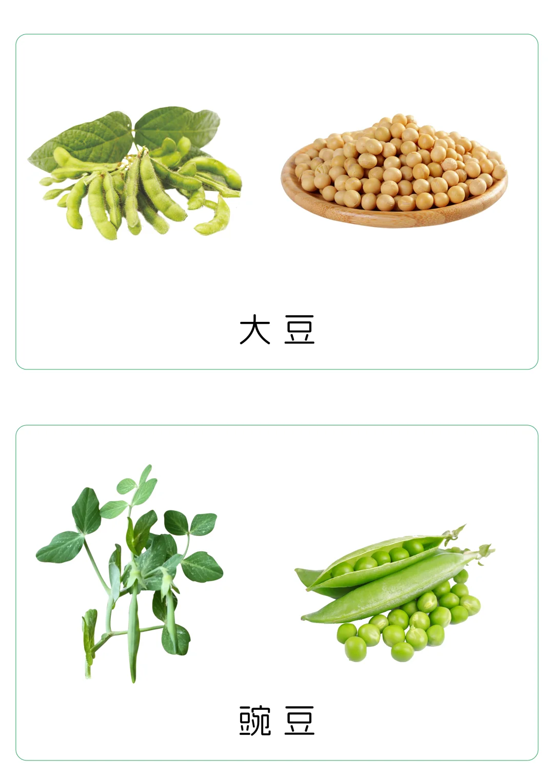 ?宝宝谷物认知卡片｜0-3岁食育启蒙✨