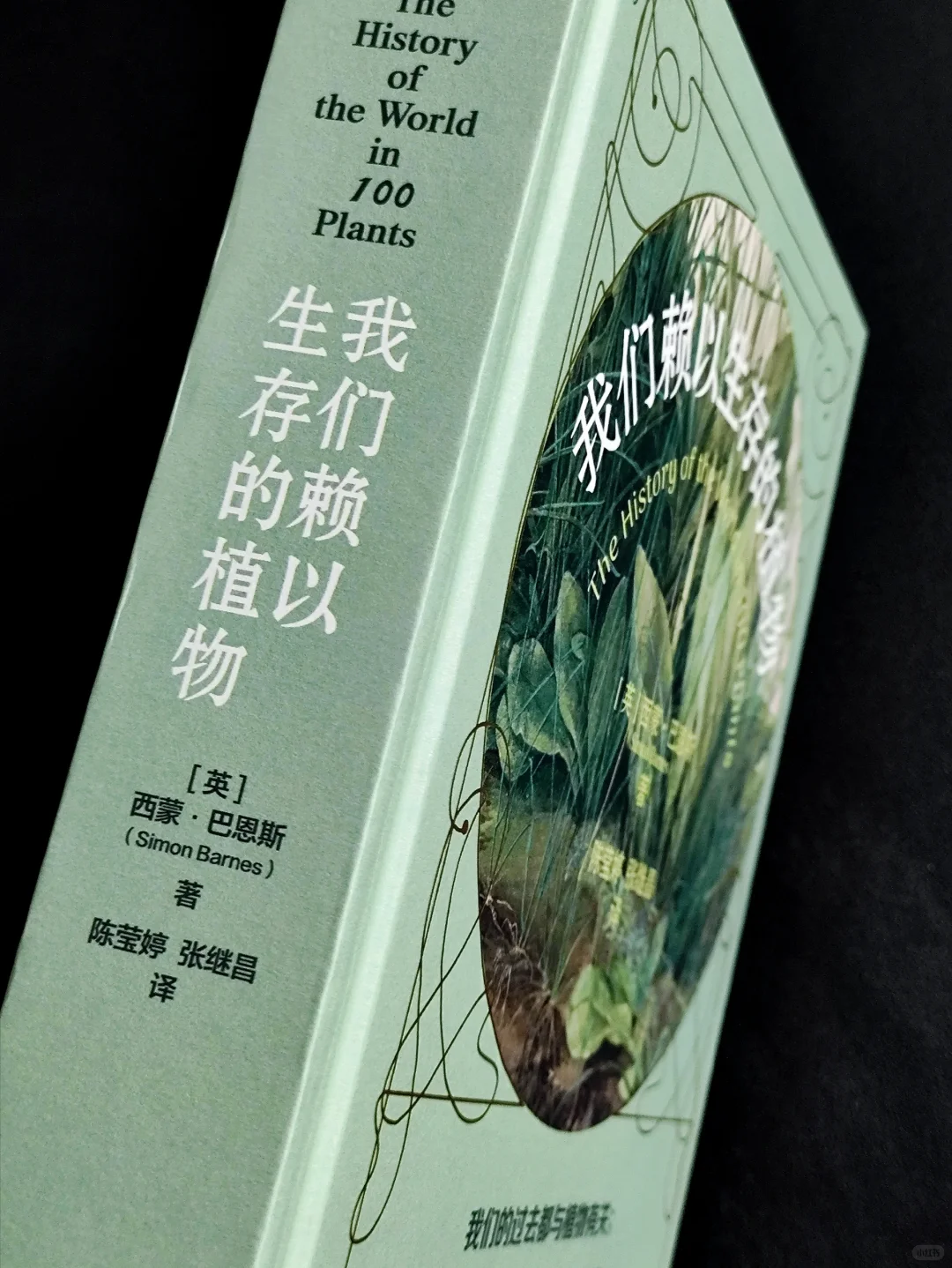 无言的陪伴:植物如何塑造人类文明❓