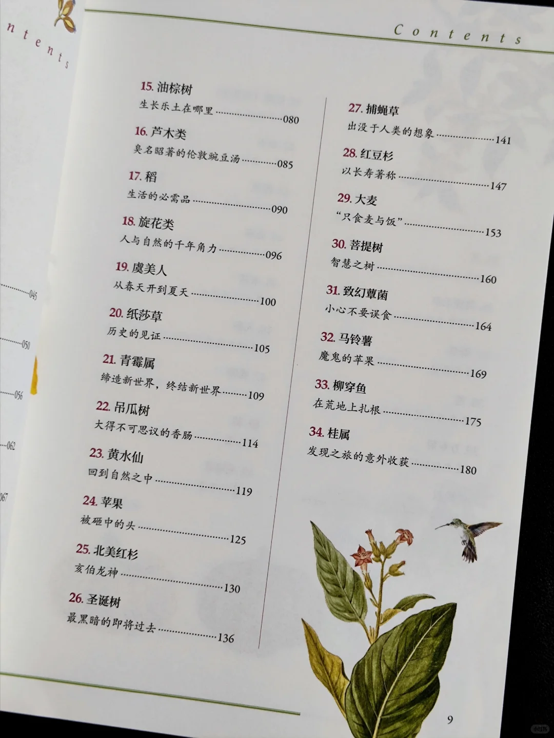 无言的陪伴:植物如何塑造人类文明❓