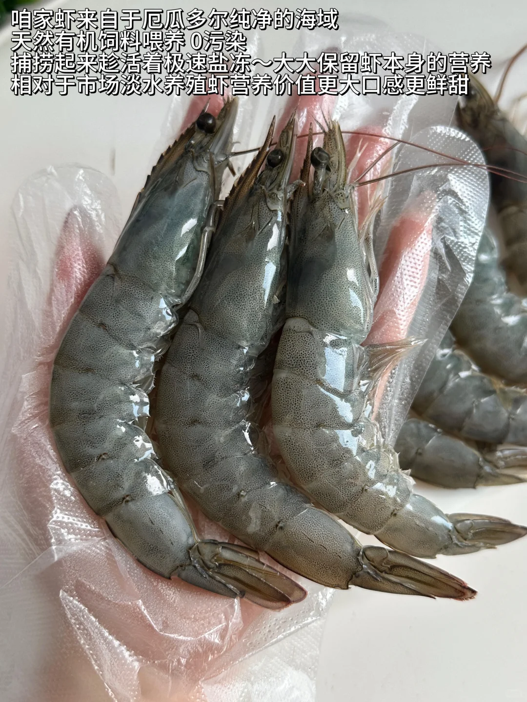 真心建议：孕期少吃活虾！！！！