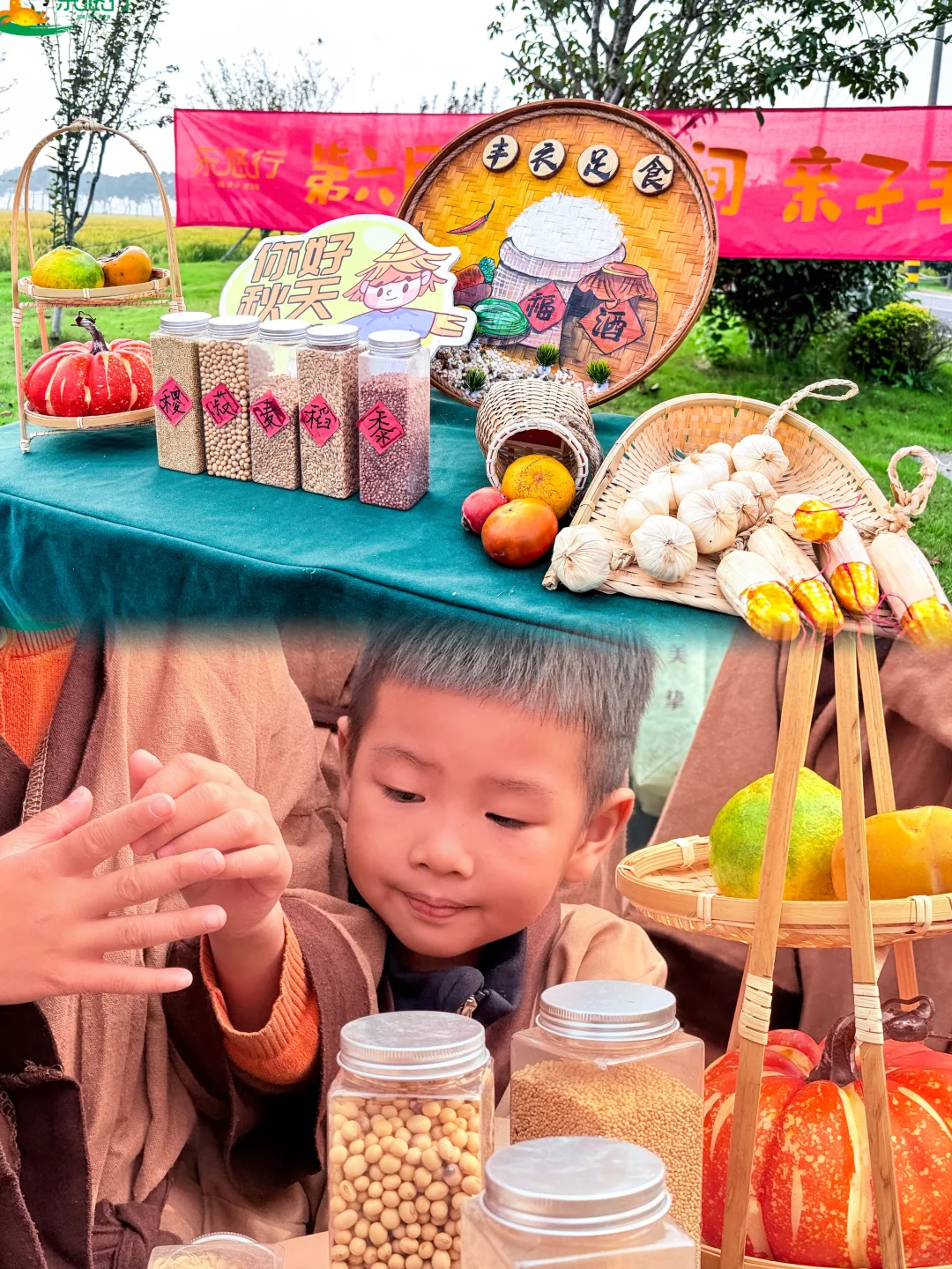 无锡亲子｜课堂在田间、农耕研学