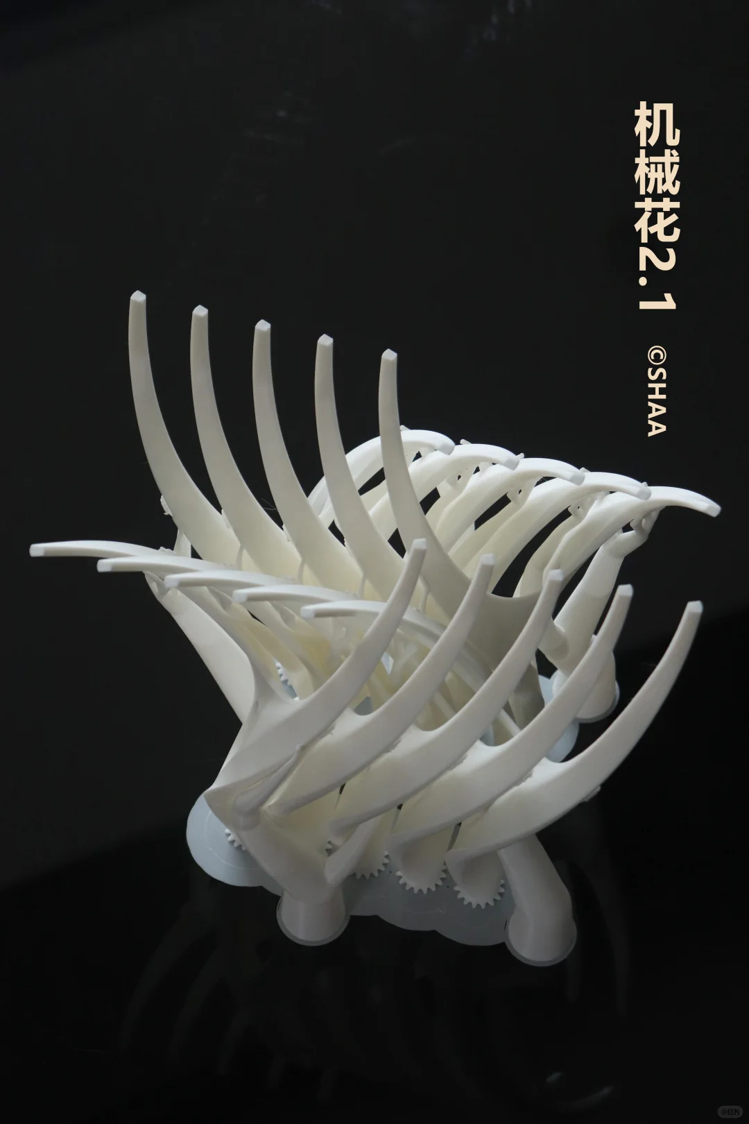 这打印出来简直就是艺术品