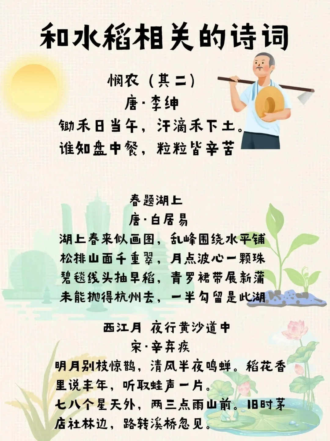 水稻的知识汇总，快来看