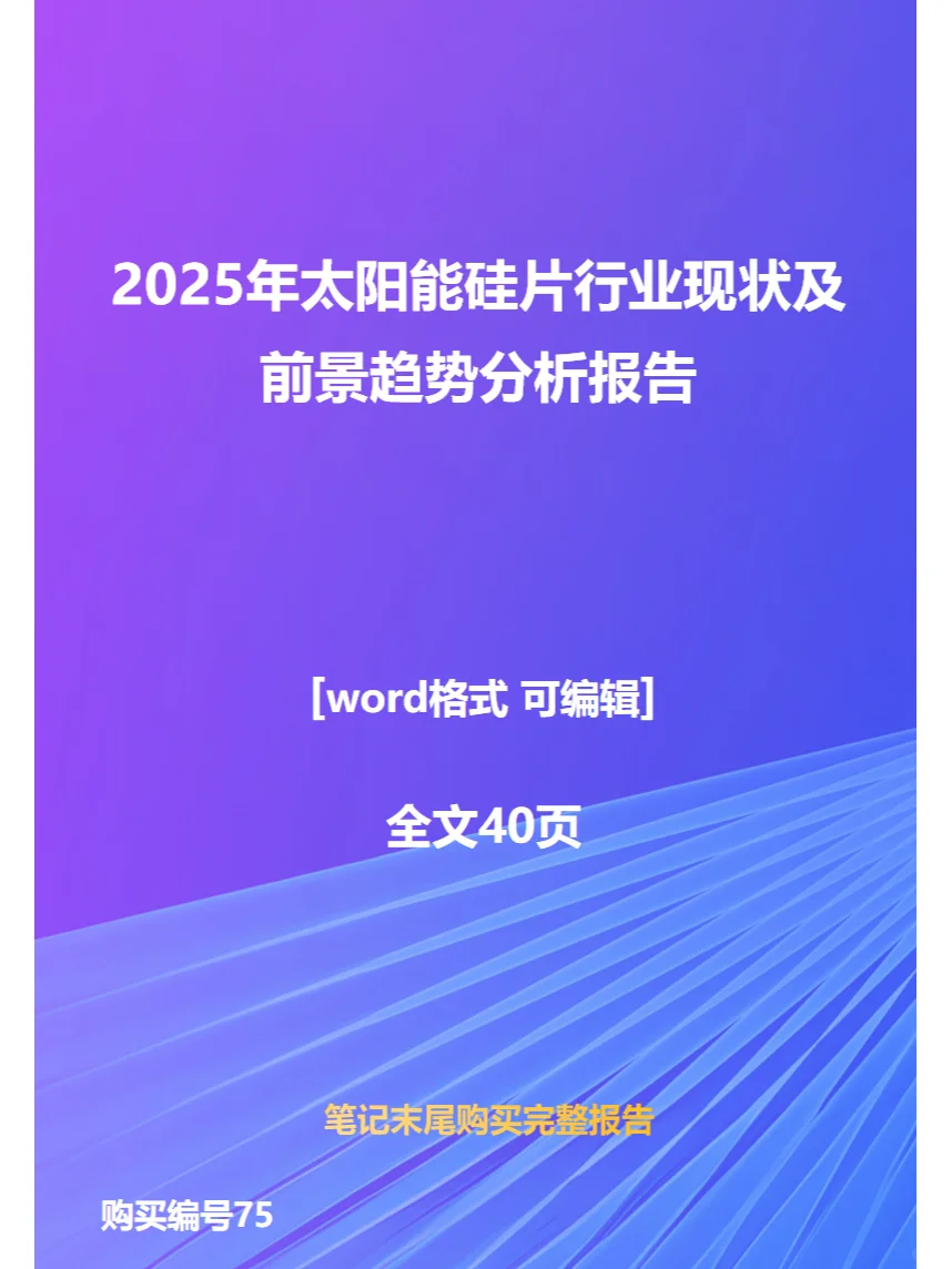 2025年太阳能硅片行业现状前景趋势分析报告