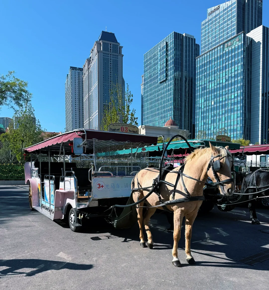 极速特种兵打卡天津！！