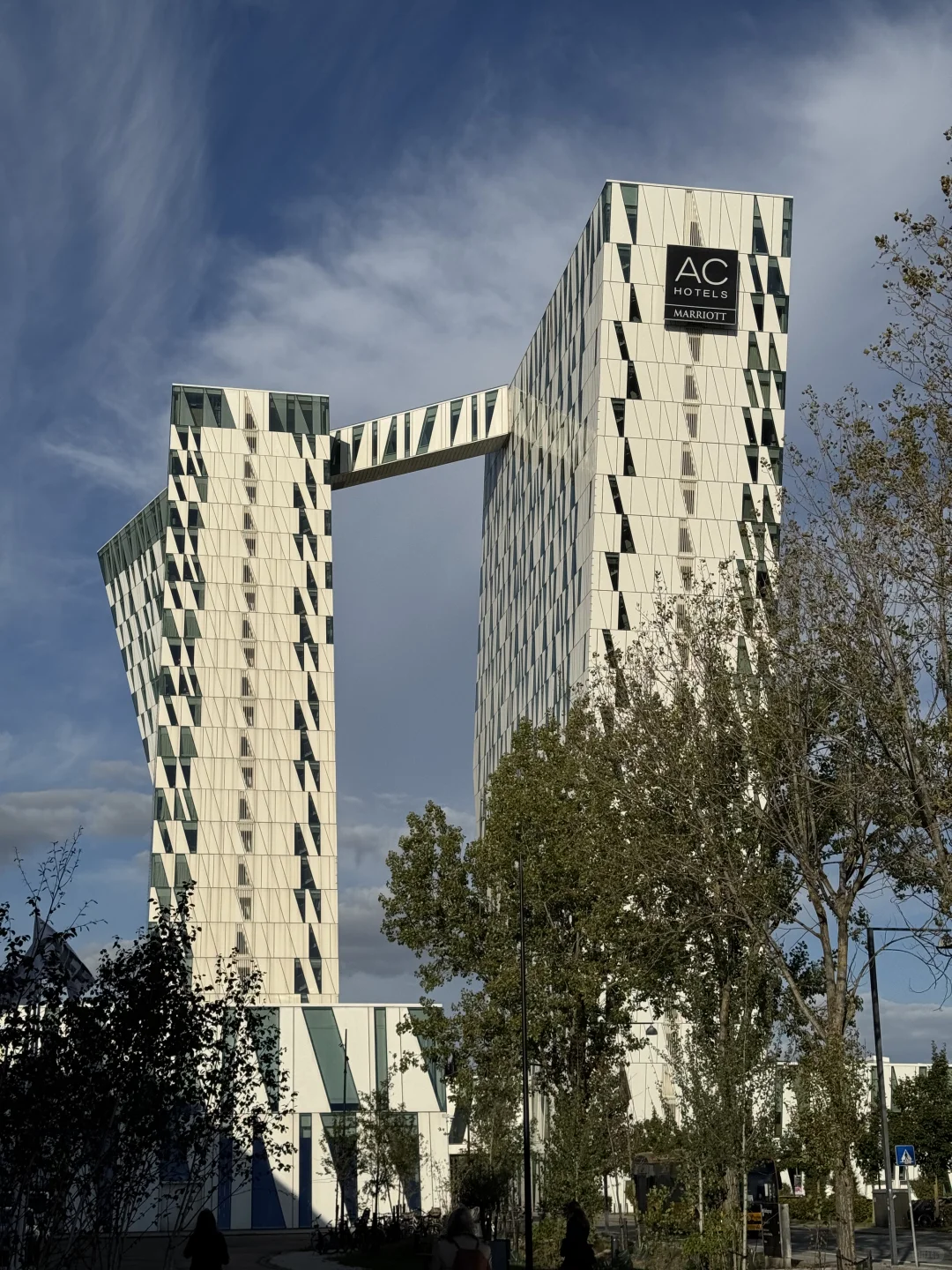 在世界氢能大会上讲电气