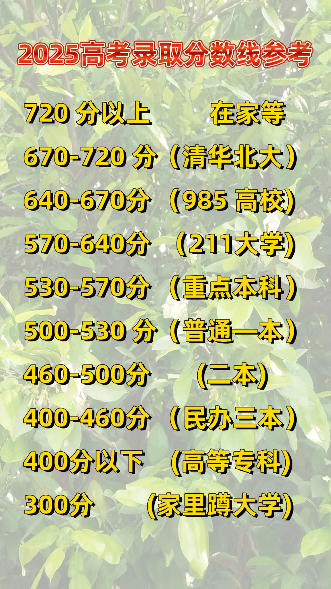 2025年高考‖录取分数线参考