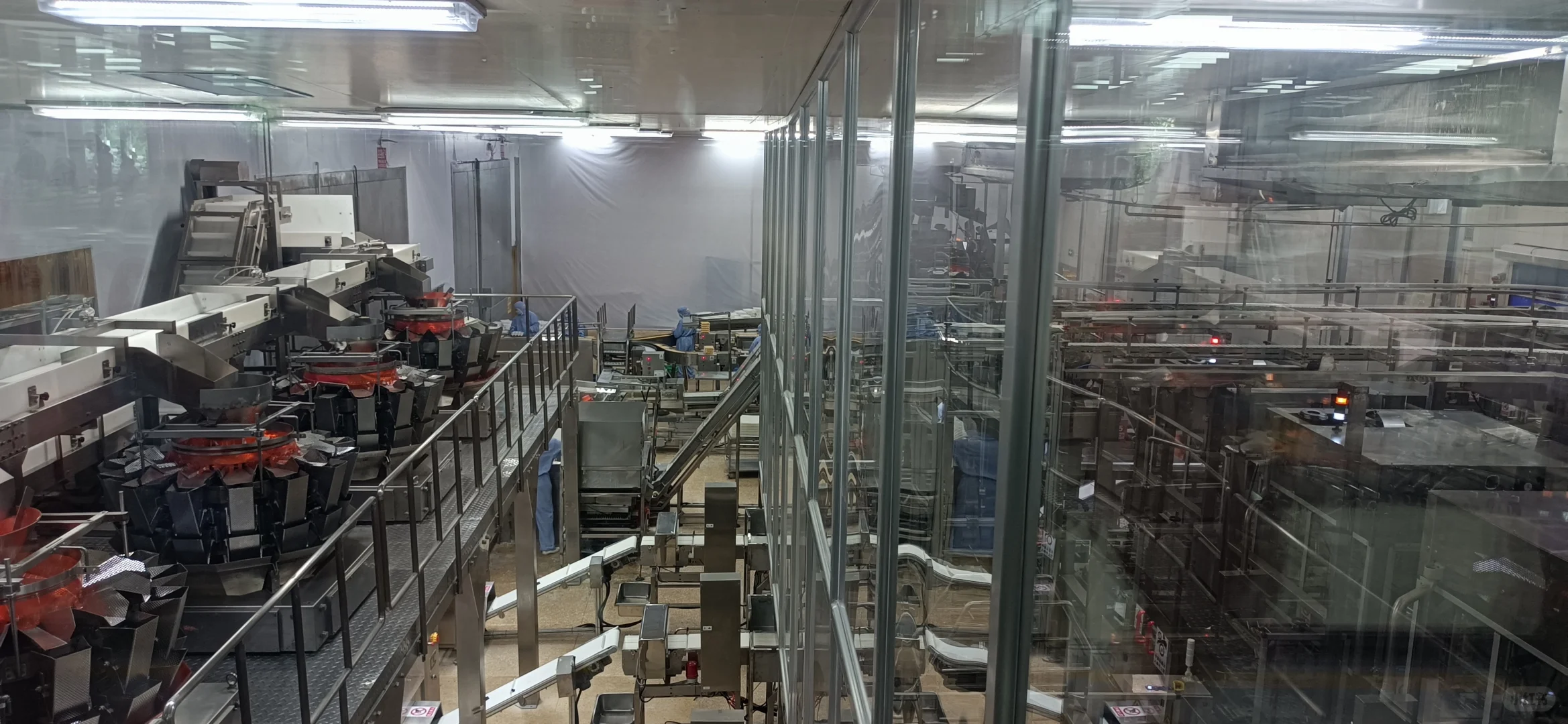 饺子汤圆能自动化生产，粽子需要人工包